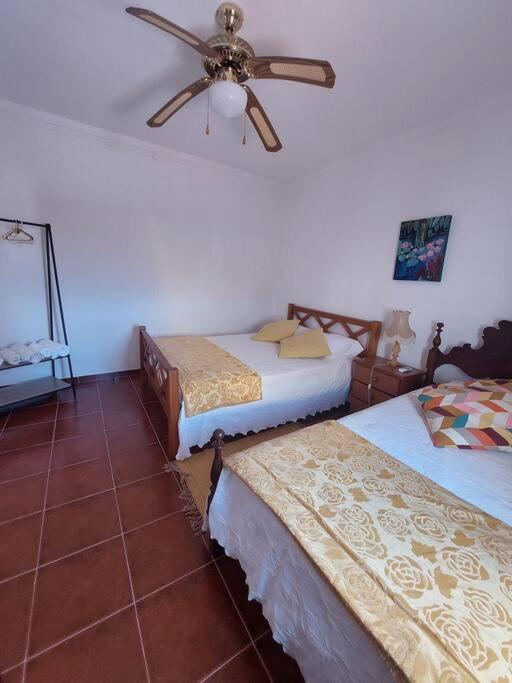 Casa Amarela - Praias Alqueva Povoa de Sao Miguel Εξωτερικό φωτογραφία